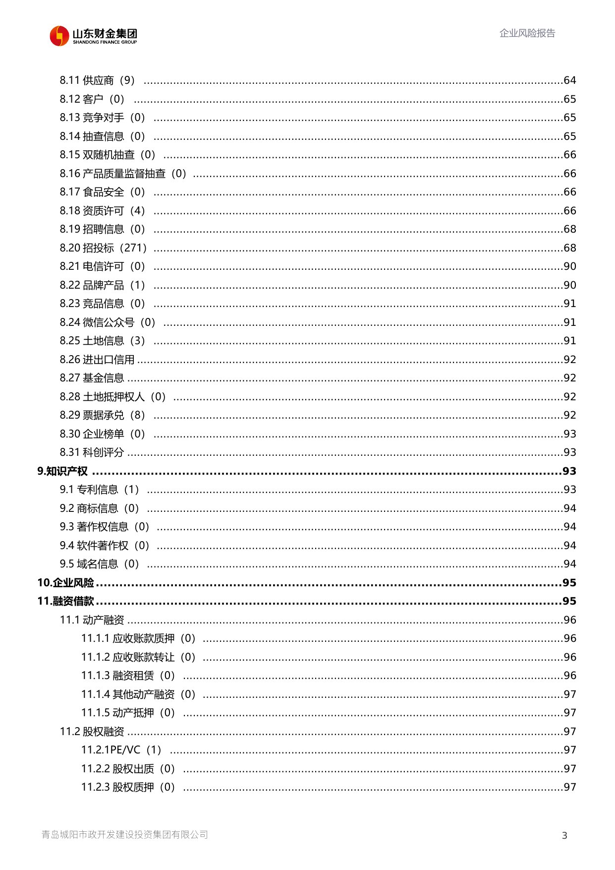 评估报告第 4 页