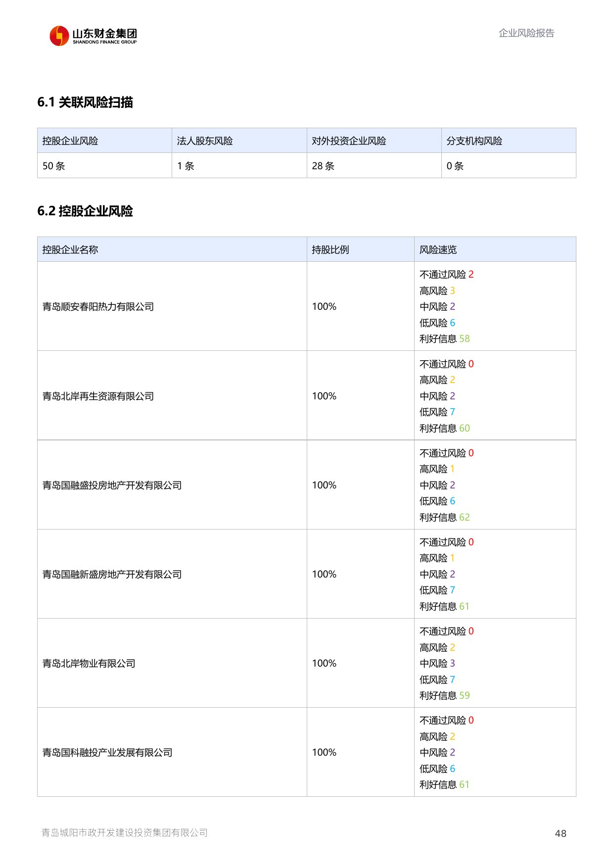 评估报告第 49 页